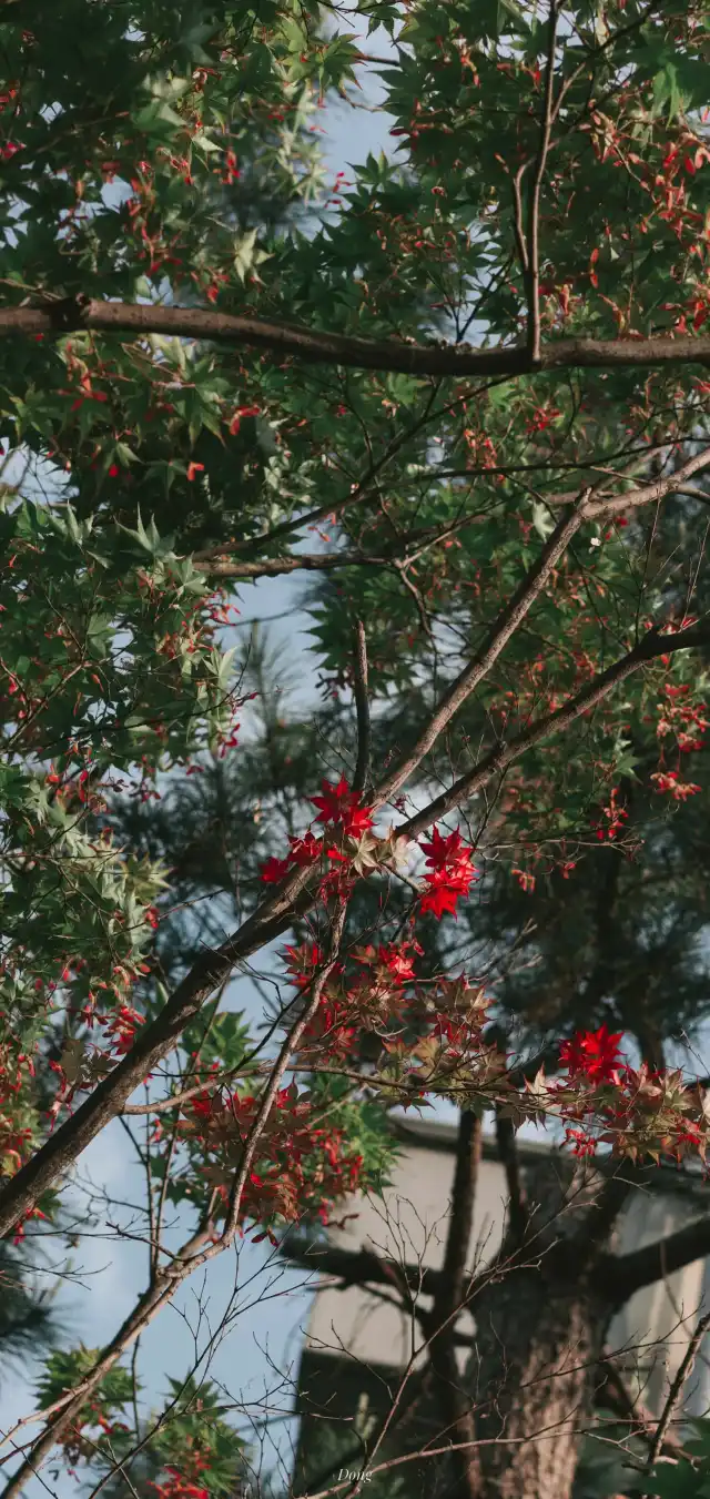 Photograph 14